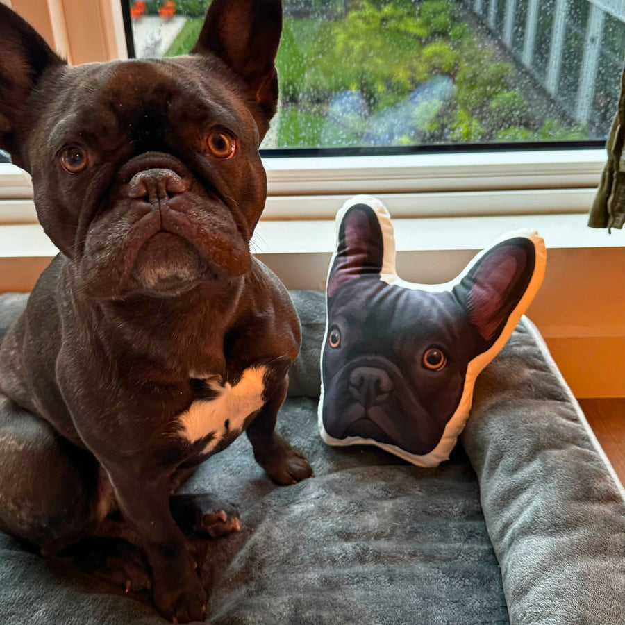Almohadas con retratos de mascotas con formas personalizadas