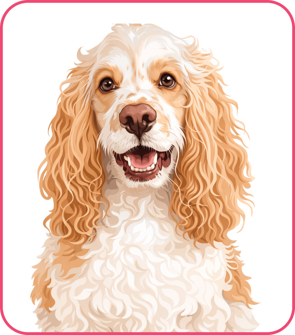 Modern Pet Portraits