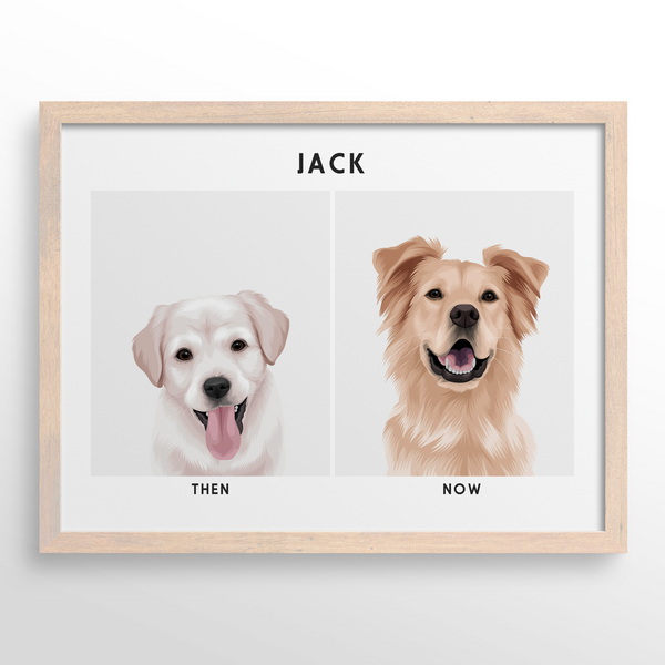 Retrato de mascota (Antes y Despues)