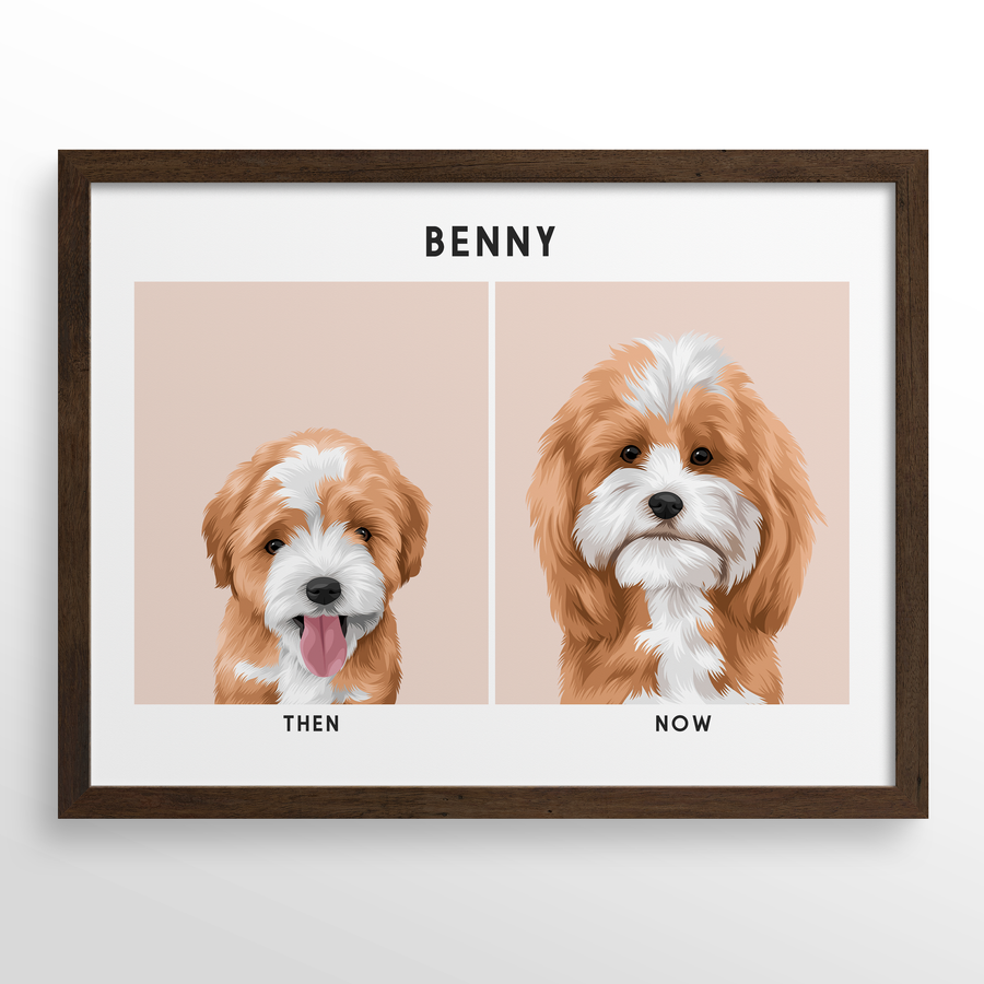 Retrato de mascota (Antes y Despues)