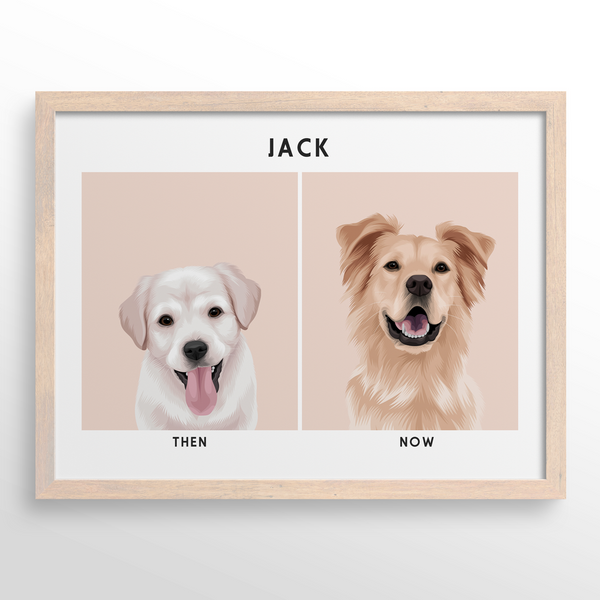 Retrato de mascota (Antes y Despues)