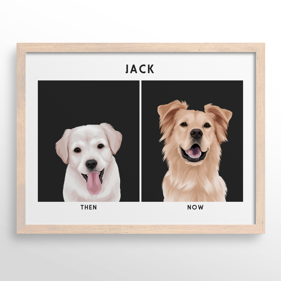 Retrato de mascota (Antes y Despues)