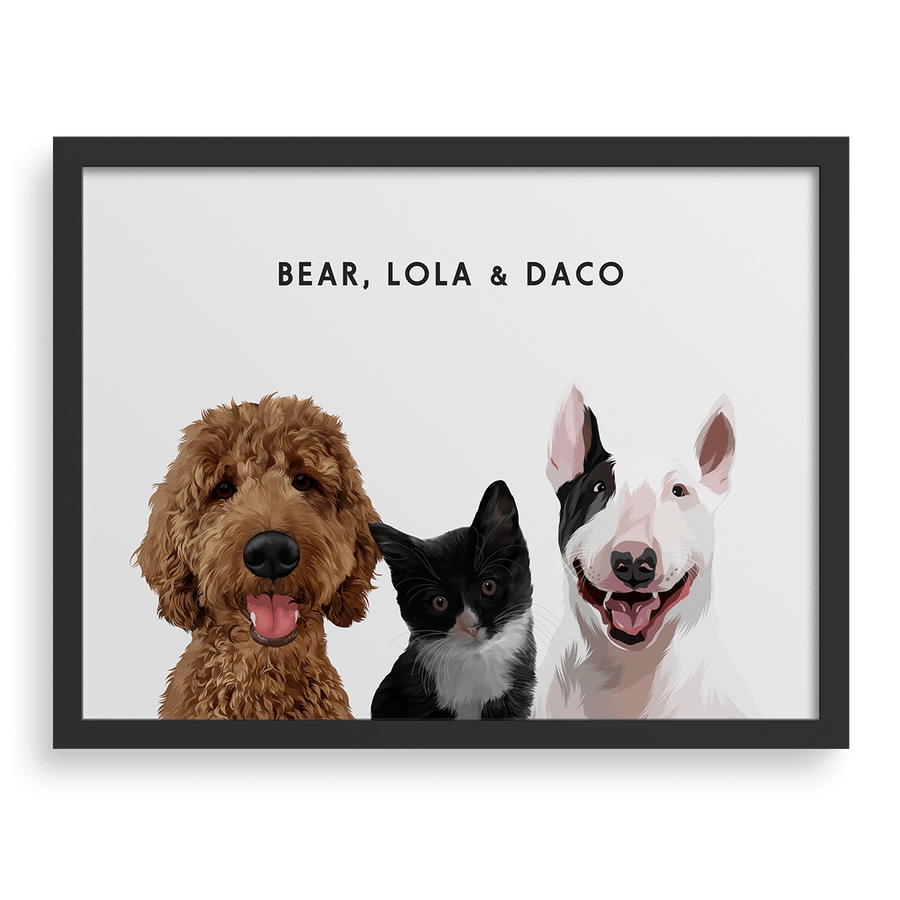 Retrato de tres mascotas