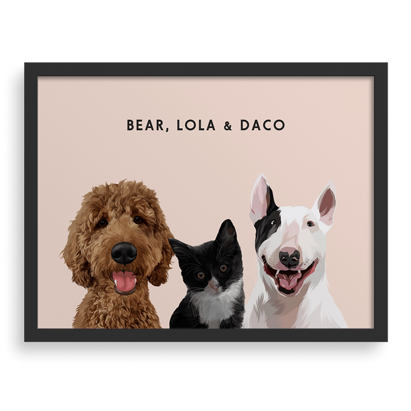 Retrato de tres mascotas