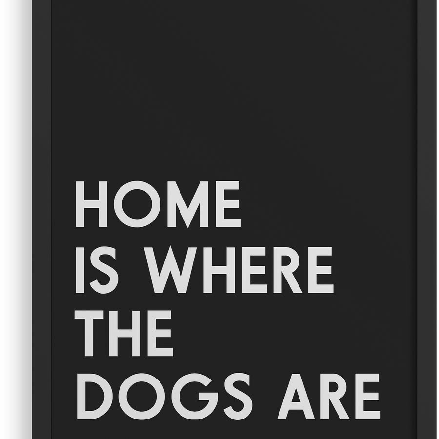 El hogar es donde están los perros