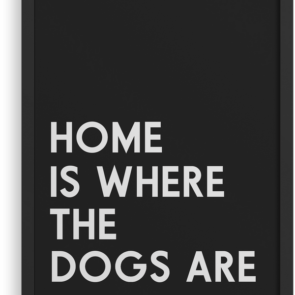 El hogar es donde están los perros