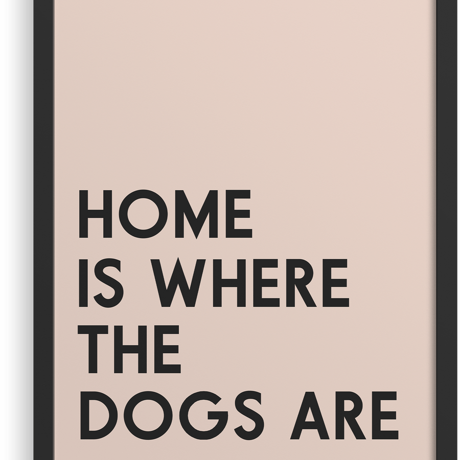 El hogar es donde están los perros