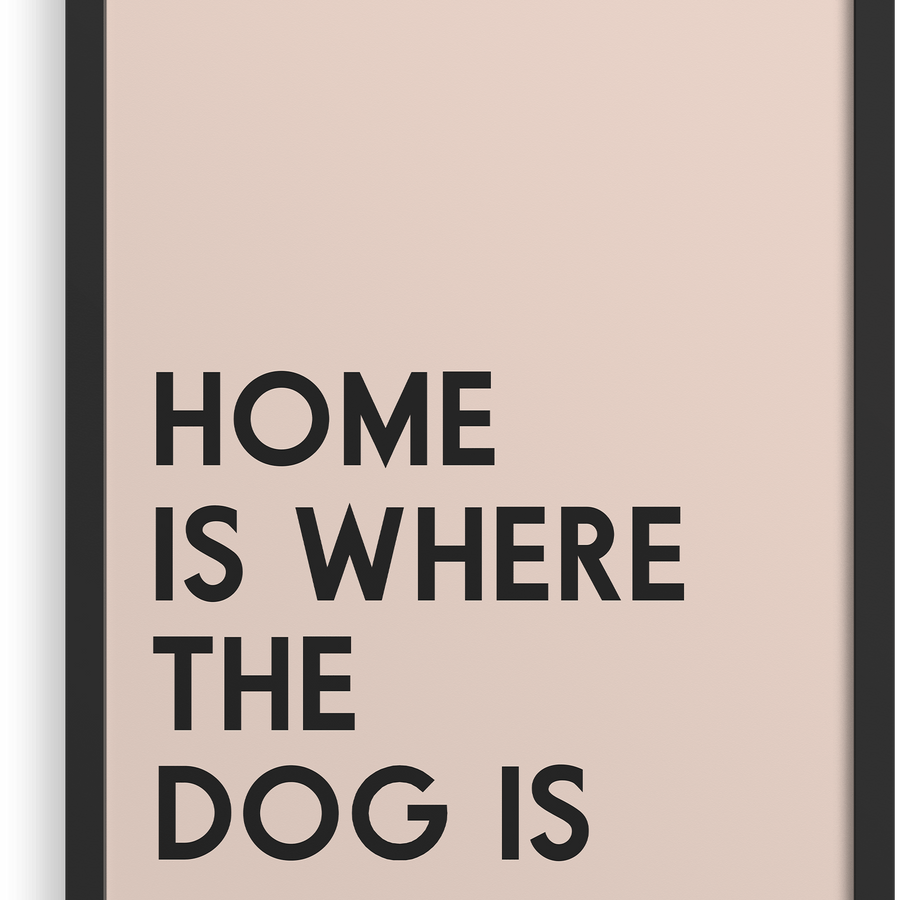 El hogar es donde está el perro